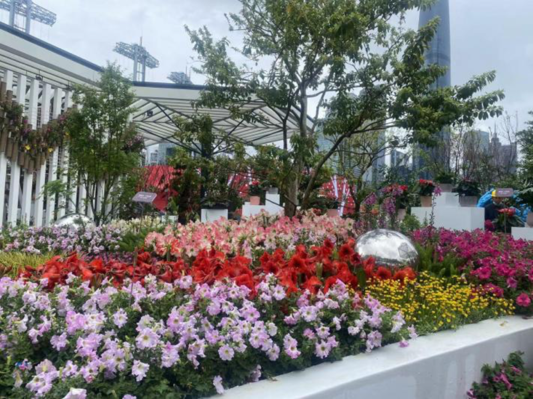 (爱我的话)云赏广州园博会!如此青绿园林,盛满爱的春天(图12)