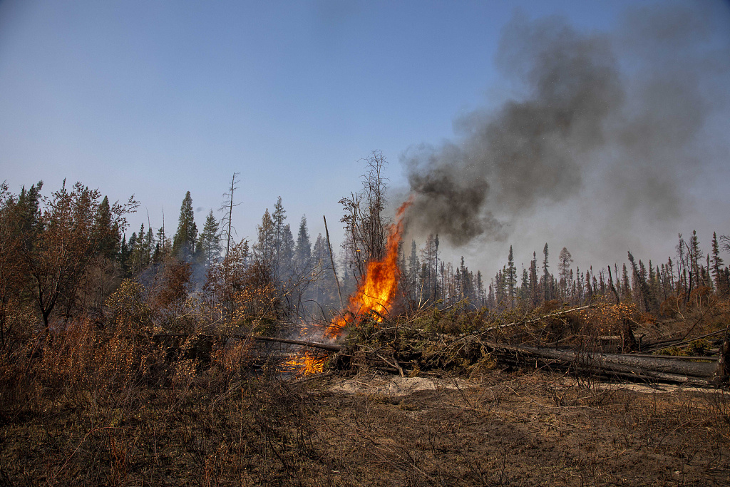 外媒：加拿大须眉供认放火14起，曾销毁近873公顷森林