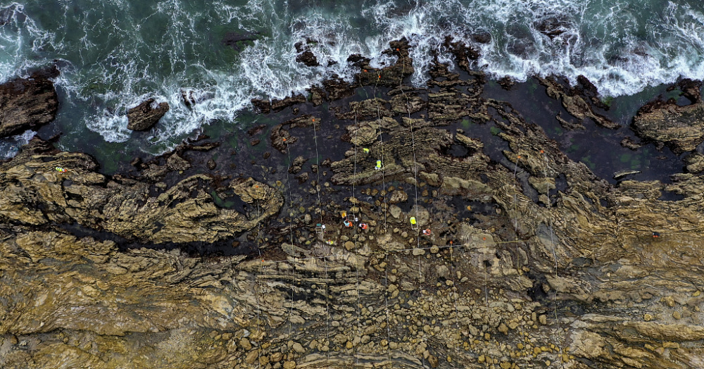 美国加州原油泄漏海洋污染持续