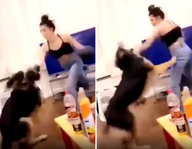 视频中,女子戴着拳击手套击打一只德国牧羊犬的头,一名男子说"我们在