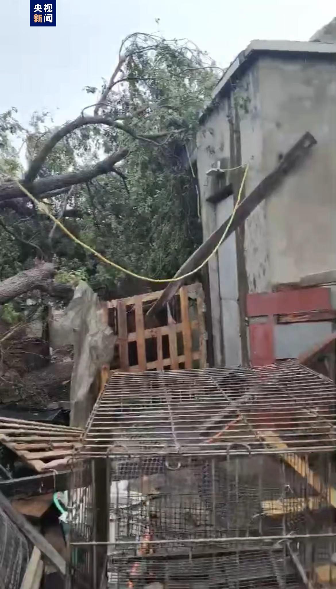 辽宁阜新龙卷风导致40余栋平房受灾 暂无人员伤亡