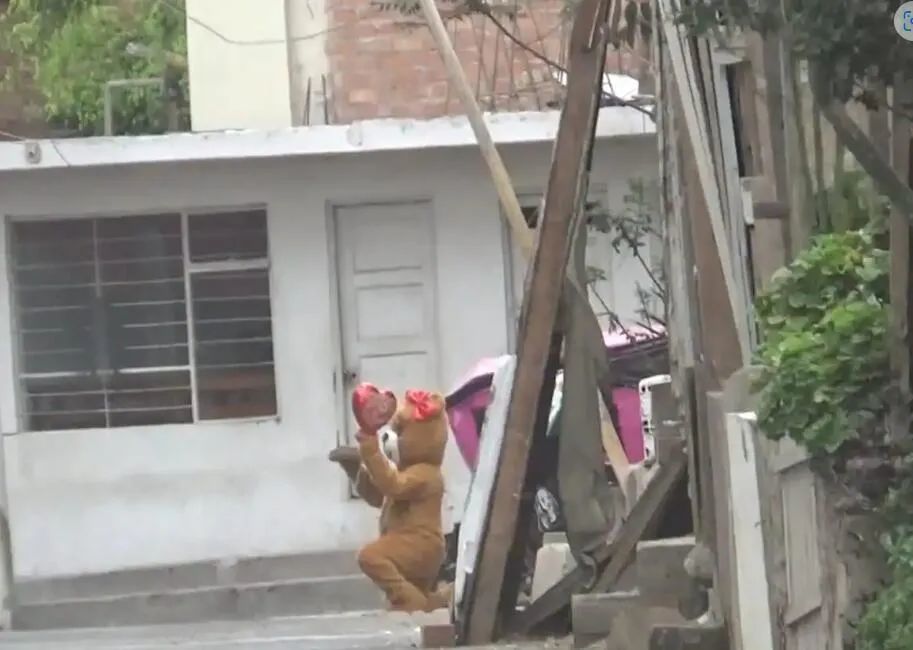 外媒：秘鲁巡警正在情人节乔装成“广告小熊”，告捷抓捕一名毒贩