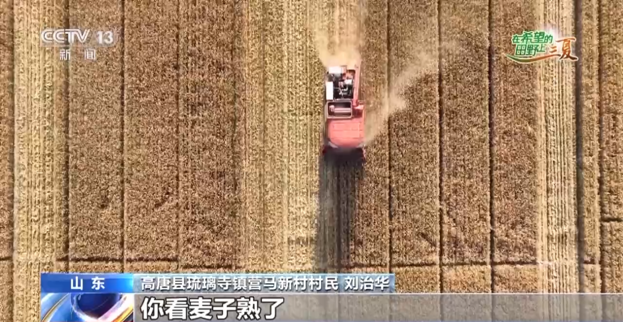 耕种管收灵活“点单” 老农人有了麦收新体验