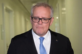澳媒：澳政府将对前总理莫里森展开调查