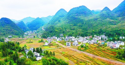 “茶”“菜”发力 致富加速——贵州省普安县卡塘村的脱贫之路