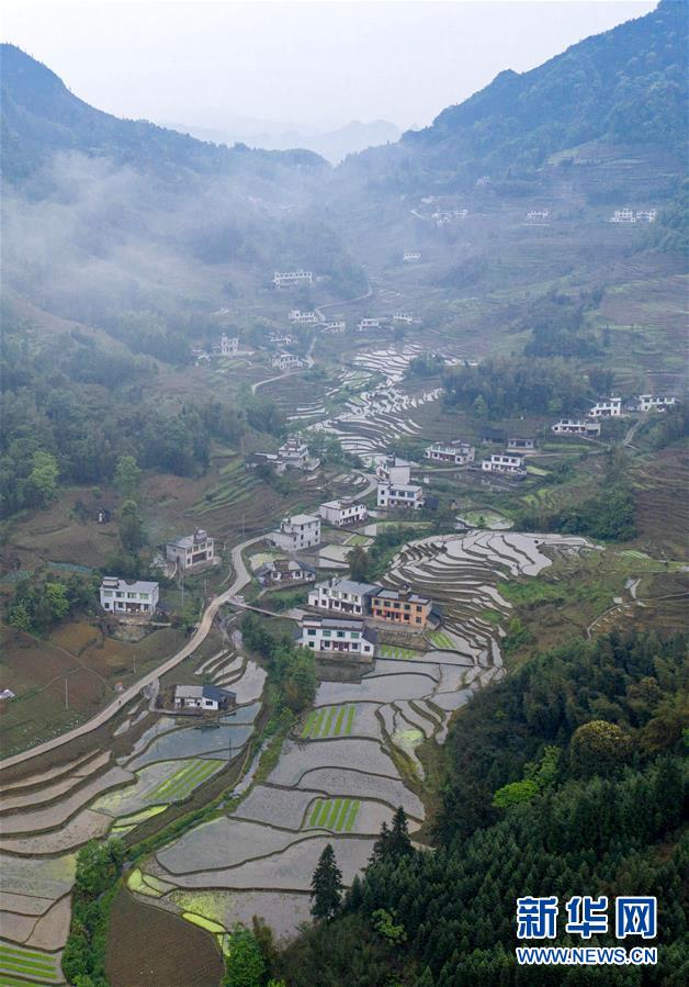在四川省珙县王家镇,洛表镇等地的褶皱地形中,散落着多片梯田.