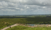 “森林工厂”守护绿色家园