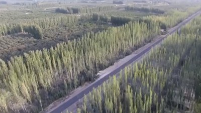 中国给塔克拉玛干沙漠带上“绿项圈”