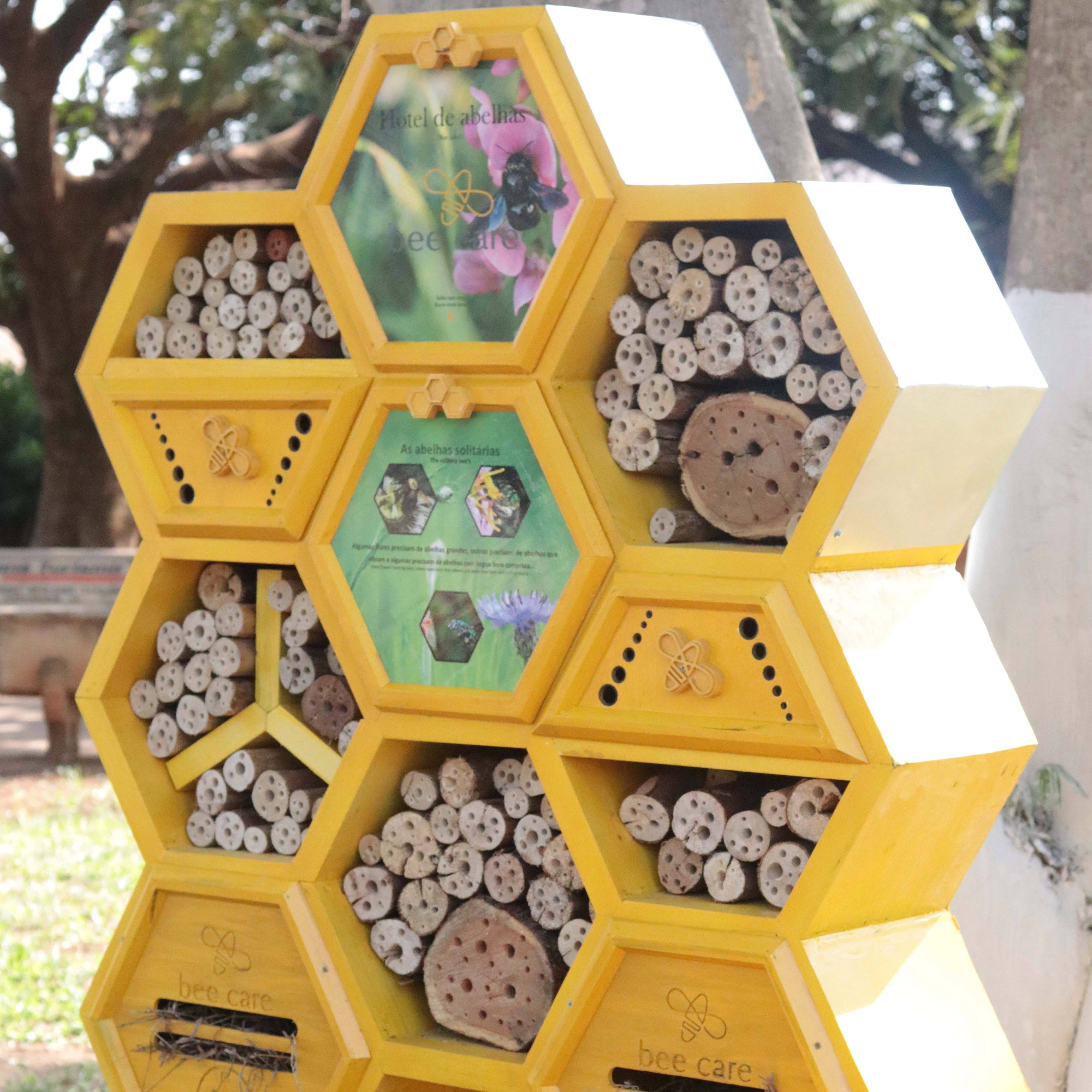 《授粉计划拯救圣保罗蜜蜂》-中粮集团