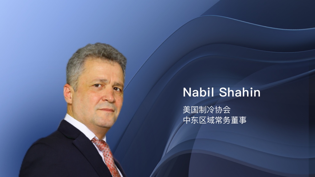  Nabil Shahin