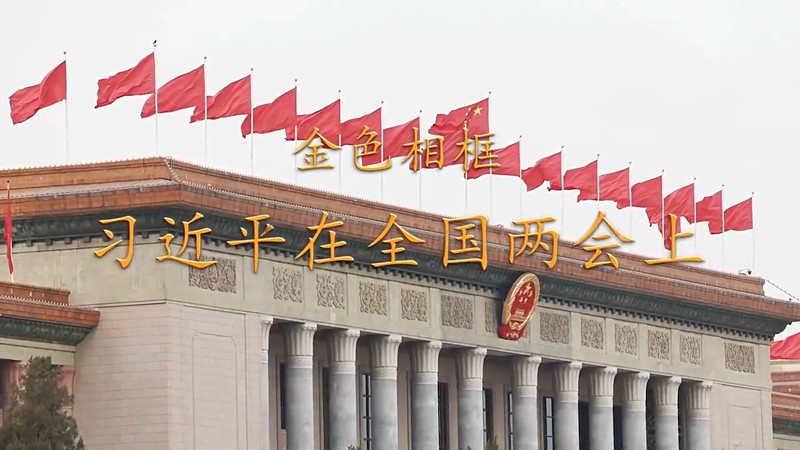  Xi Jinping's discussion with deputies to the National People's Congress and the CPPCC in 2024 is a documentary