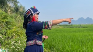 “5G+数字乡村”建设赋能水稻种植 广西农户发展“副业”年收入翻番