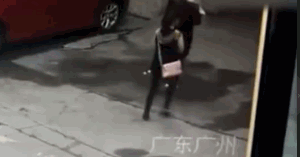 广州女子被天降大狗砸瘫， 法院判了！