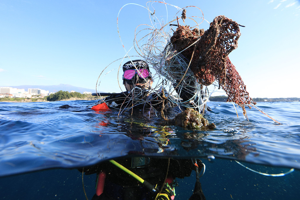 韩国济州潜水员清理海洋垃圾保护生态环境