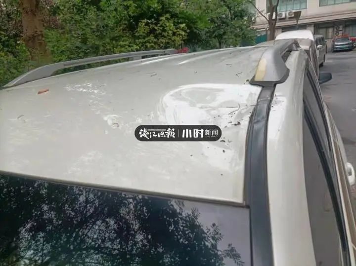 “晚一步就砸到我了！”杭州凤凰南苑刚刚又有水泥块落下，砸中一辆车......