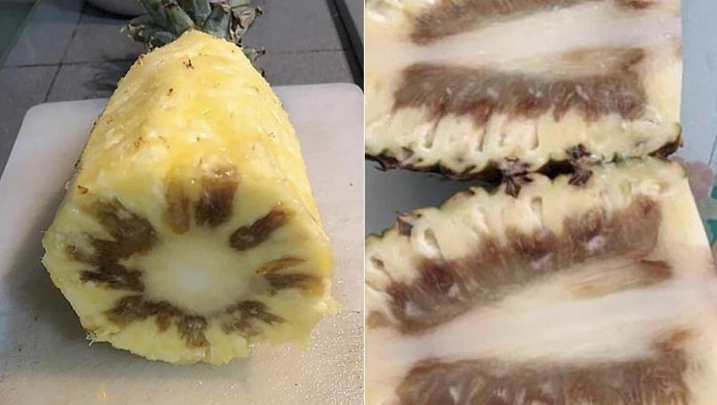菠萝坏掉的几种图片图片