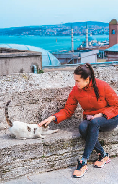 伊斯坦布尔是一座“爱猫之城”（国家人文地理）之城