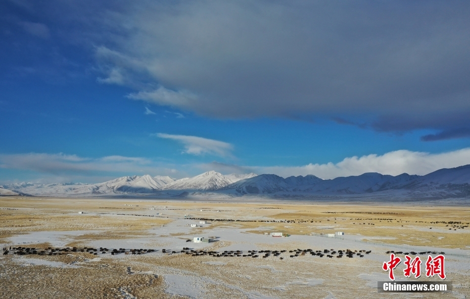 西藏藏北雪山下 牧人的“天堂草原”