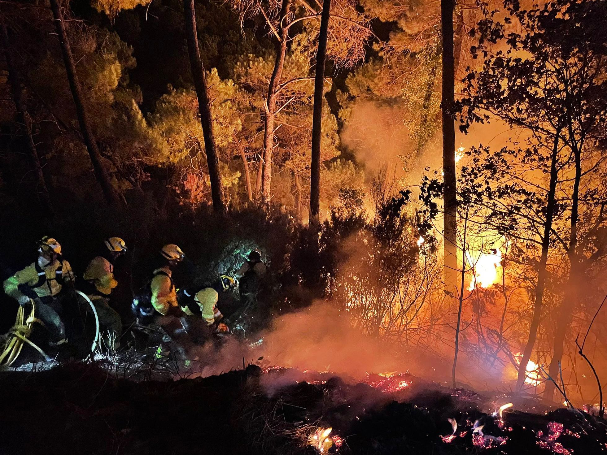 西班牙马拉加省发生森林火灾 超400名居民被疏散
