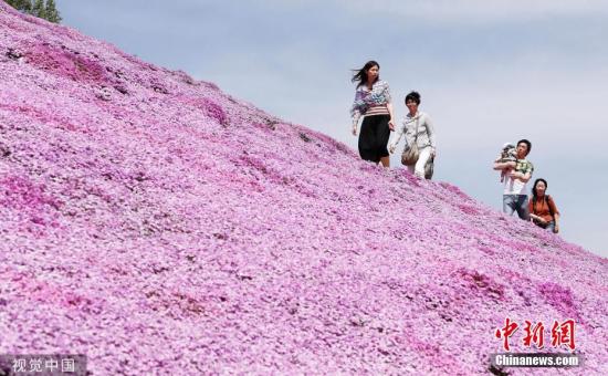 日本都道府县魅力排行榜出炉北海道连续12年居榜首