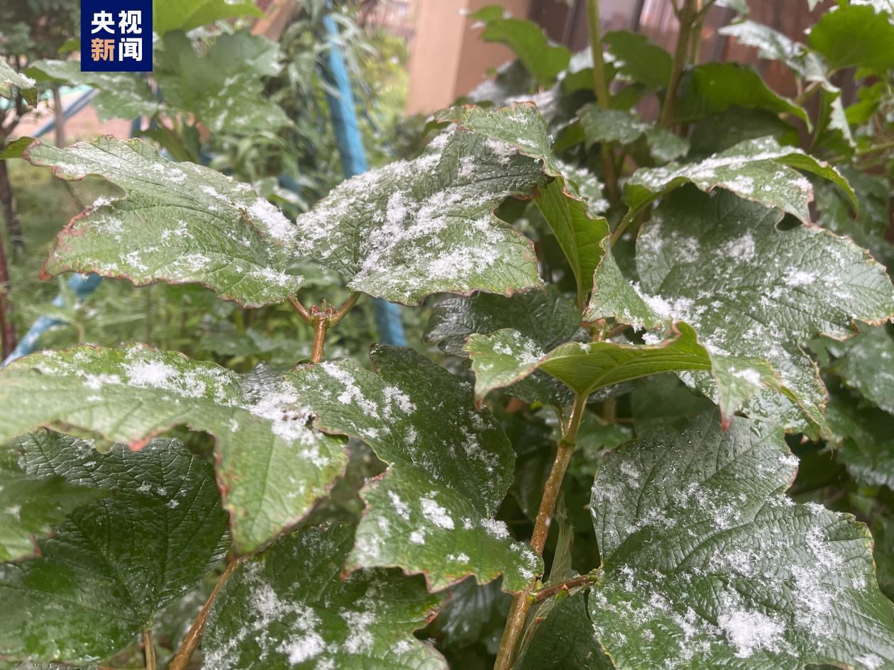 新疆乌鲁木齐今日现秋后首场降雪