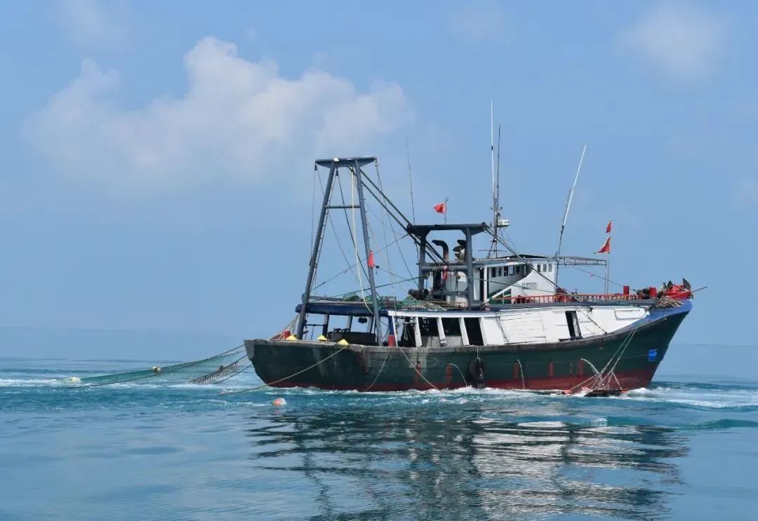 抓获22人！儋州海警局一天查获5艘涉嫌非法捕捞作业渔船
