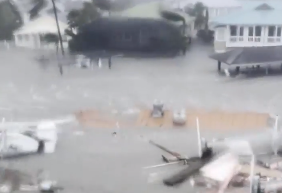 飓风“伊恩”登陆美国：鲨鱼在街上游动 房屋被海水淹没