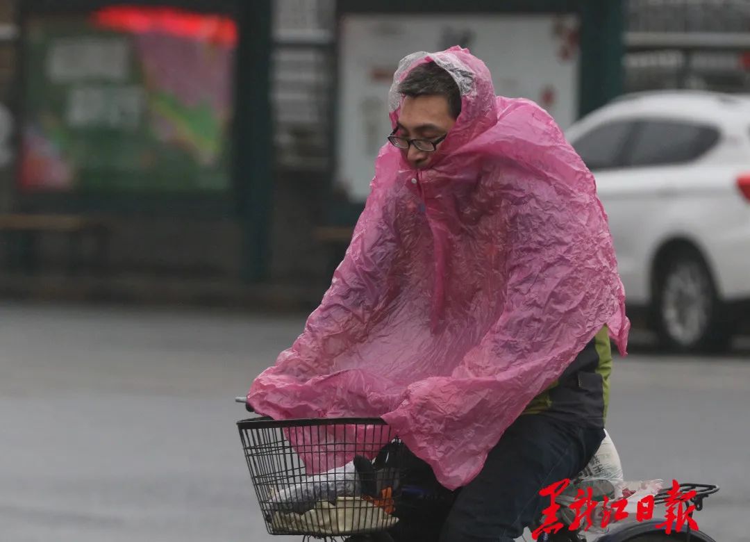 风吹伞折！黑龙江连发两个天气预警……