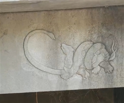 四川自贡市富顺县发现一古墓墓门刻有疑似“蛇缠龟”神兽