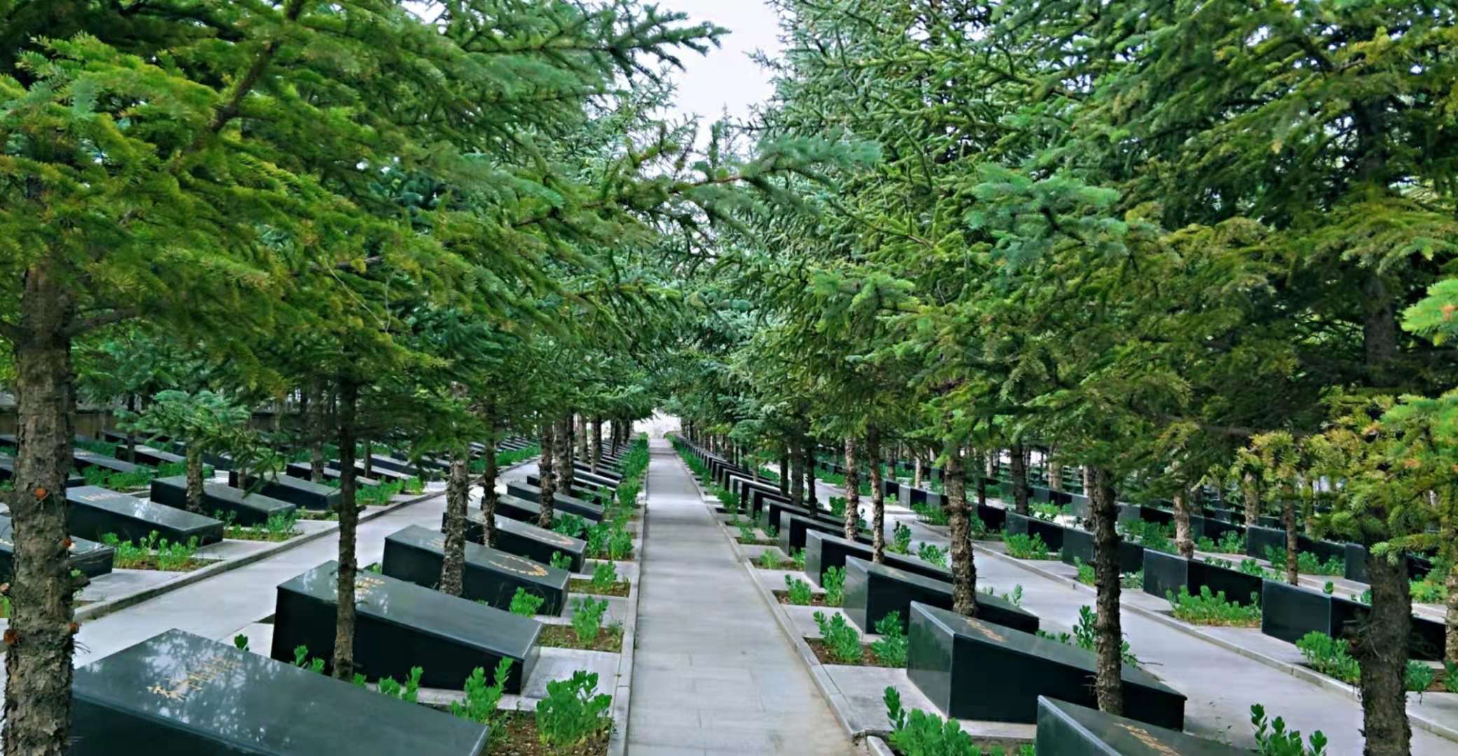 青海省西宁市烈士陵园图片