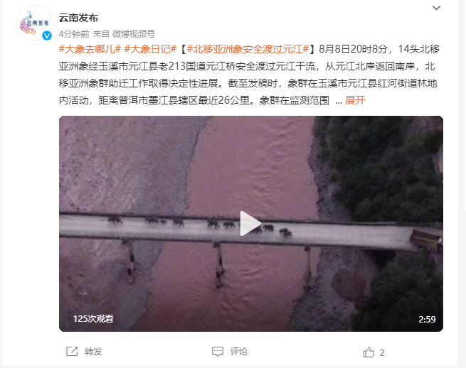 14头北移亚洲象安全渡过元江，北移亚洲象群助迁工作取得决定性进展