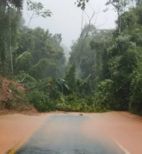 巴西里约州暴雨已致15人死亡 政府成立临时应急办公室