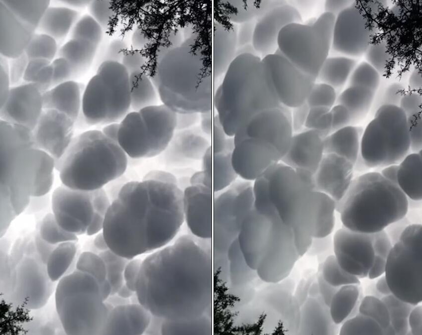阿根廷居民拍到罕见乳状云似 棉花球 堆满天空