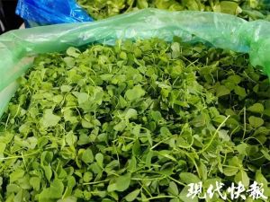 香椿百元一斤！南京“春菜”上新