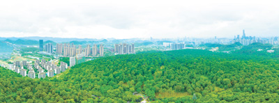 贵州省贵阳市长坡岭林场：百年林场 城市氧吧