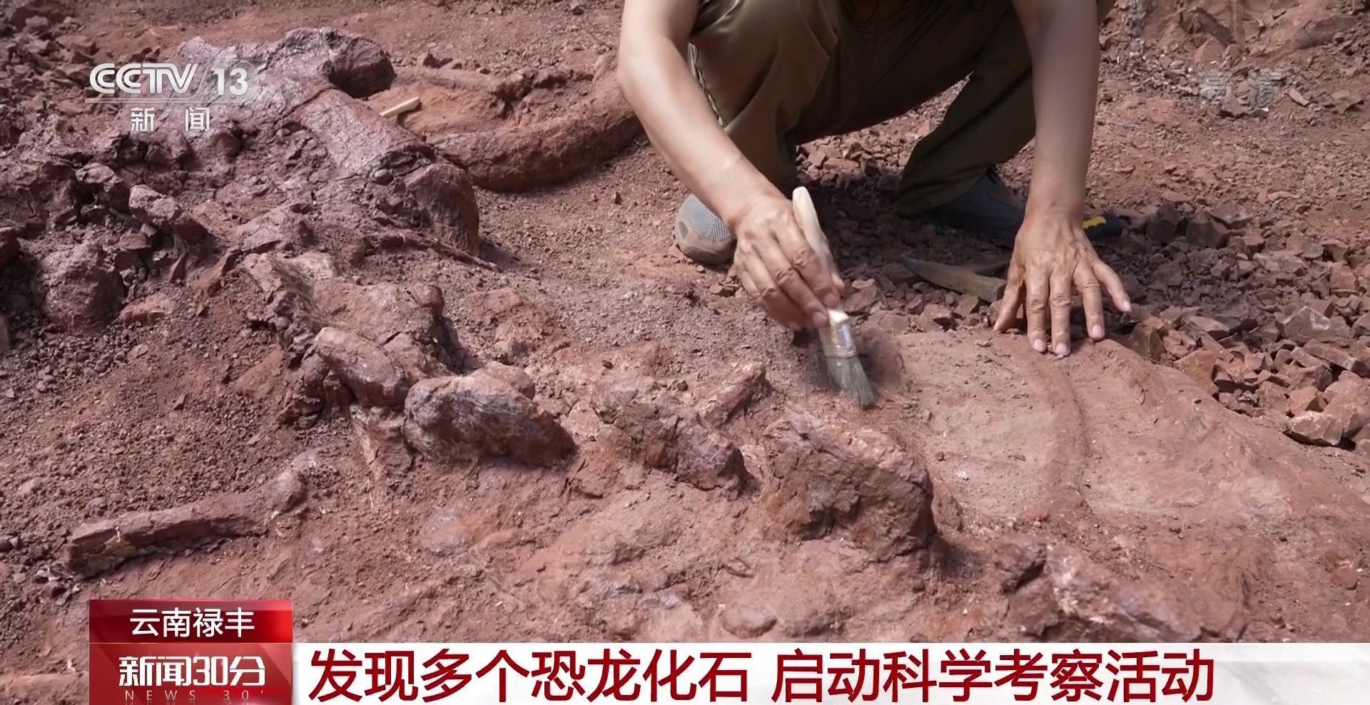 云南禄丰发现多个恐龙化石 启动科学考察活动