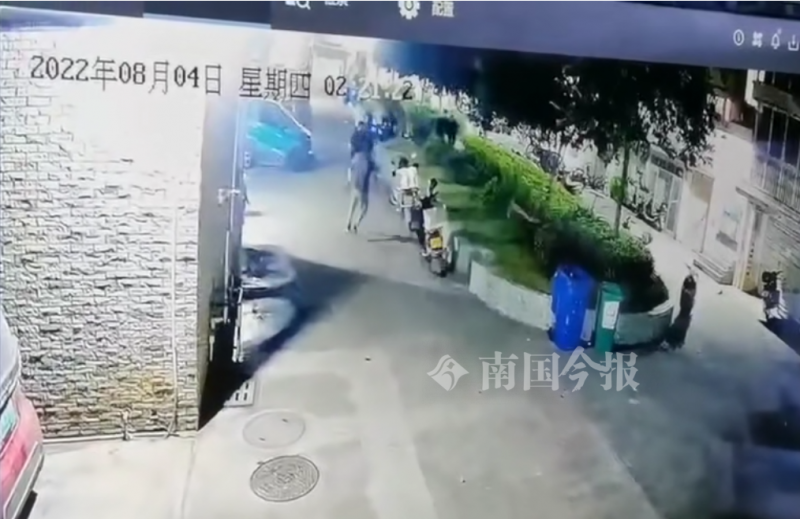 “保安”柳州这小区数十人凌晨布控，偷车贼被人赃并获