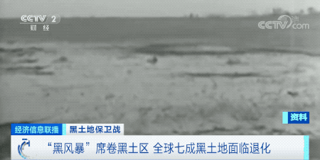图片[8]-鹤城晚报：耕地中的“大熊猫”，全球七成黑土地面临退化！国家立法保护-多维新闻网 - 多维度关注热点事件