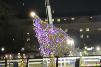 美媒:美“国家圣诞树”被吹倒，白宫紧急抢修