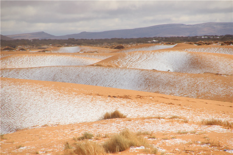 撒哈拉沙漠罕见下雪 “沙海”变“雪海”美到窒息