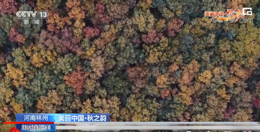 河南林州太行大峡谷清泉潺流 树树秋色