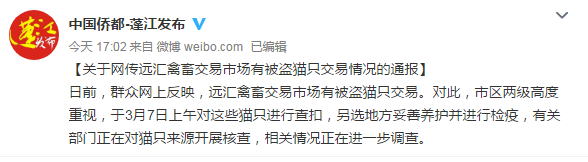 广东蓬江通报“禽畜市场有被盗猫只交易情况”：已查扣，正核查来源