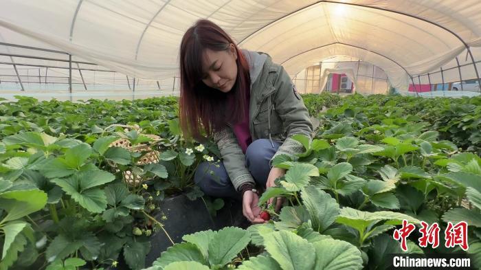 （台青话融合）“90后”台湾女生深耕大陆乡村：为两岸农业创造更多可能性廖子