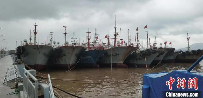 浙江宁波3981艘渔船全部到港避风 人员应撤尽撤