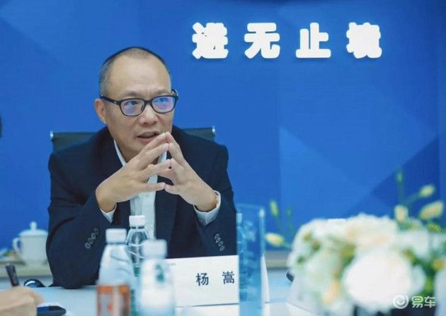 杨嵩调任福特中国乘用车事业部副总经理 陆逸加盟长福