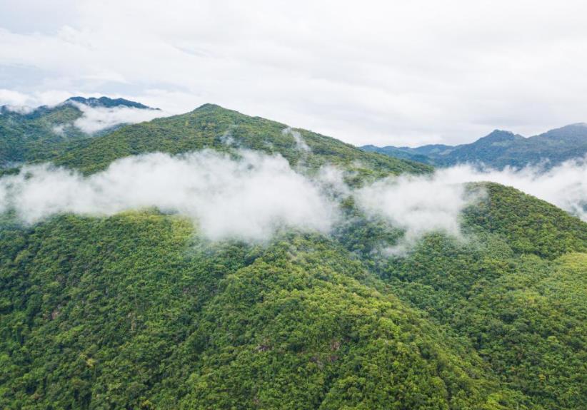 “飞阅”海南热带雨林国家公园