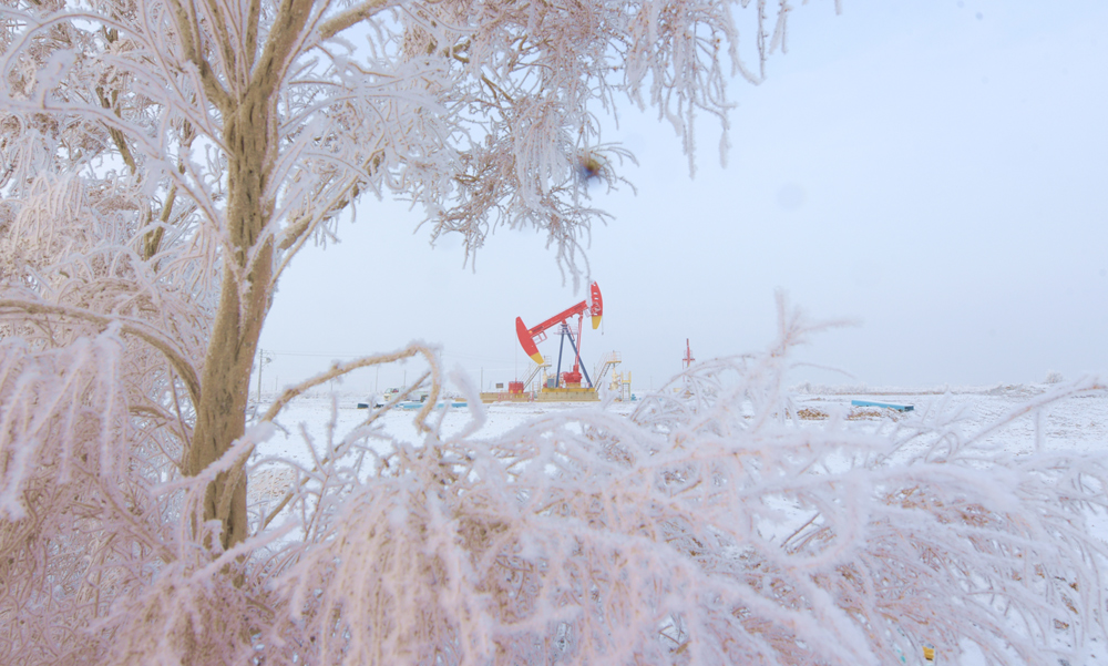 新疆克拉玛依：油田雪挂美景入画来