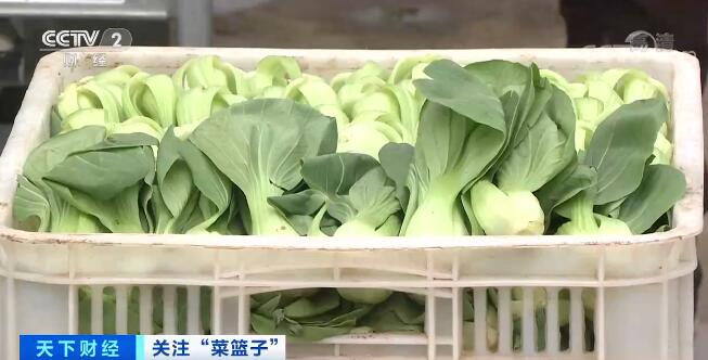 六月份全国蔬菜价格季节性回落全国蔬菜生产形势向好