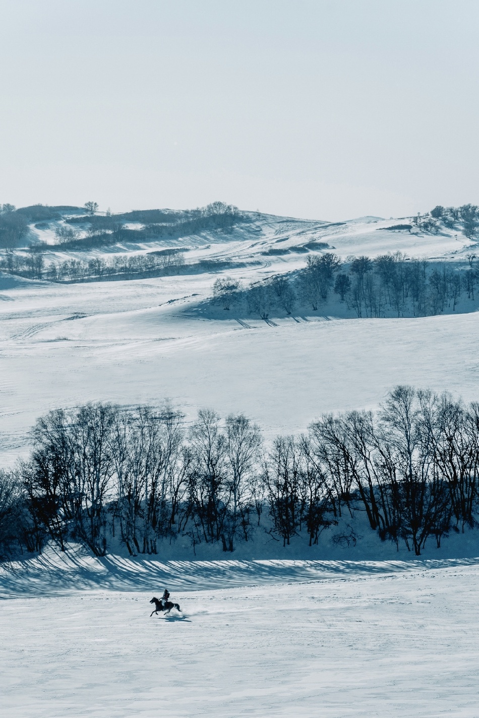 吴磊骑马横跨雪原 对镜比耶满满冬日少年感