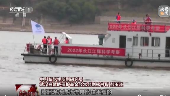 2022年長江江豚科考第二天 首批發現的江豚群中有“小朋友”